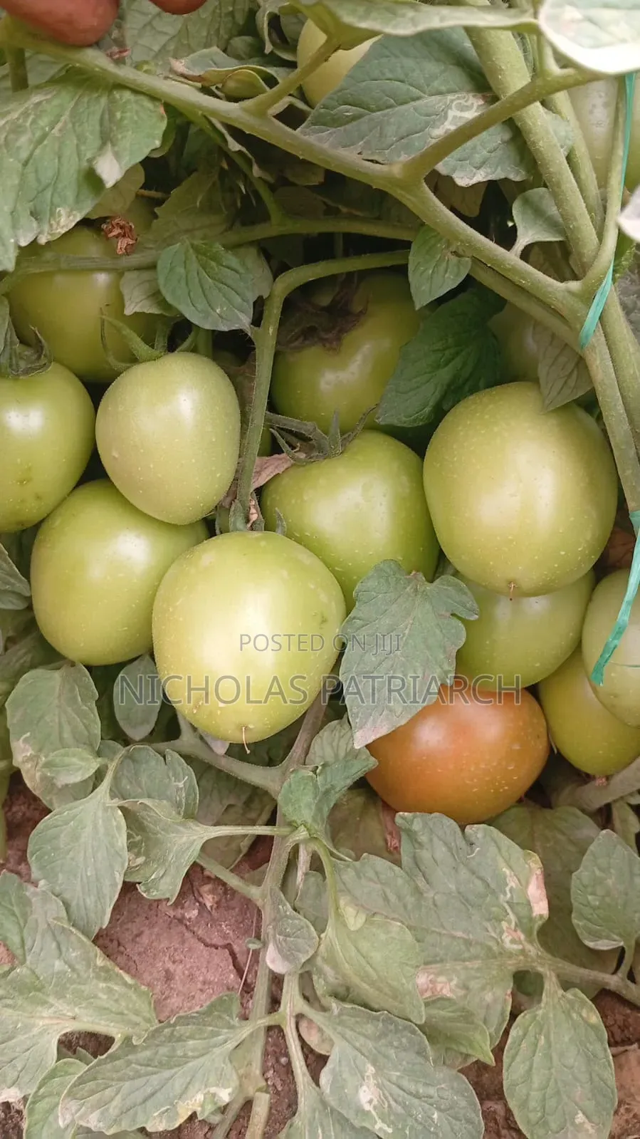 45 Acres Farm Kiboko -Mombasa Road Selling at 92m in Emali/Mulala