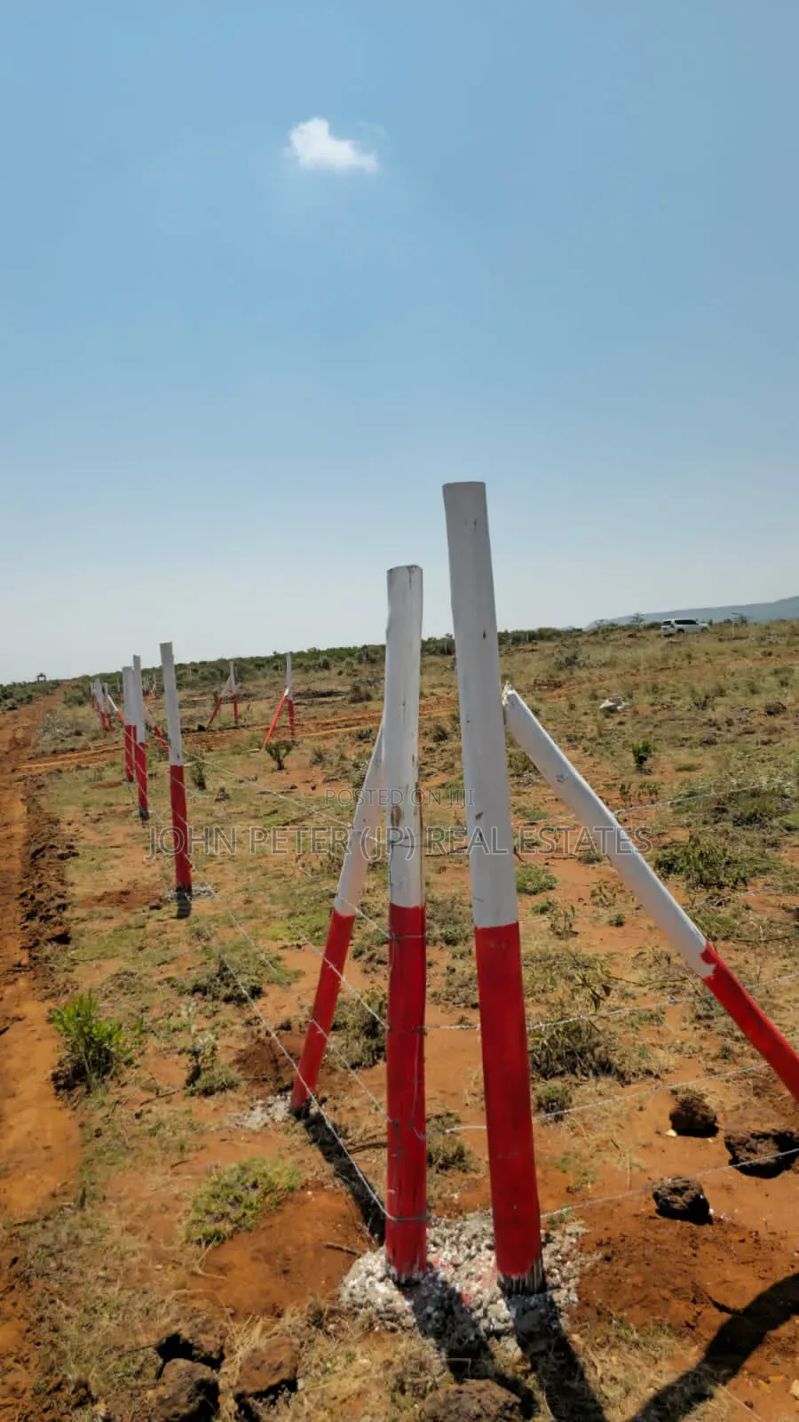 100*100 Plots in Nachu in Nachu