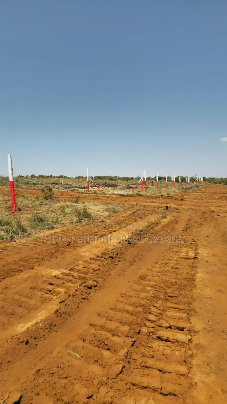 100*100 Plots in Nachu in Nachu