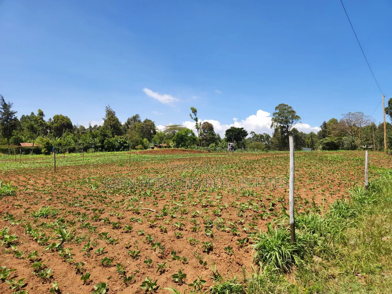 Residential Plots in Chungamali, Mirithu in Ndeiya