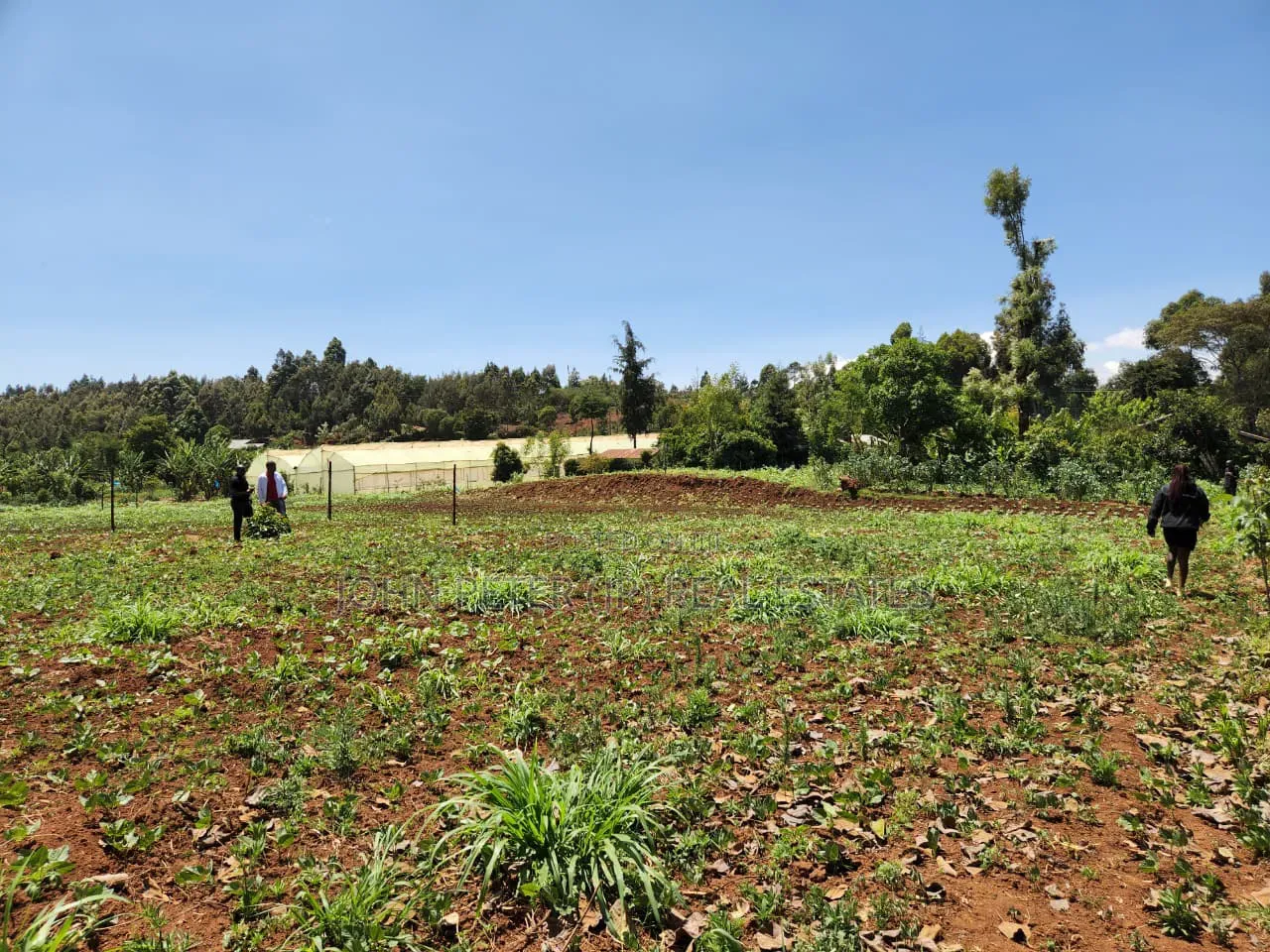 Residential Plots in Chungamali, Mirithu in Ndeiya