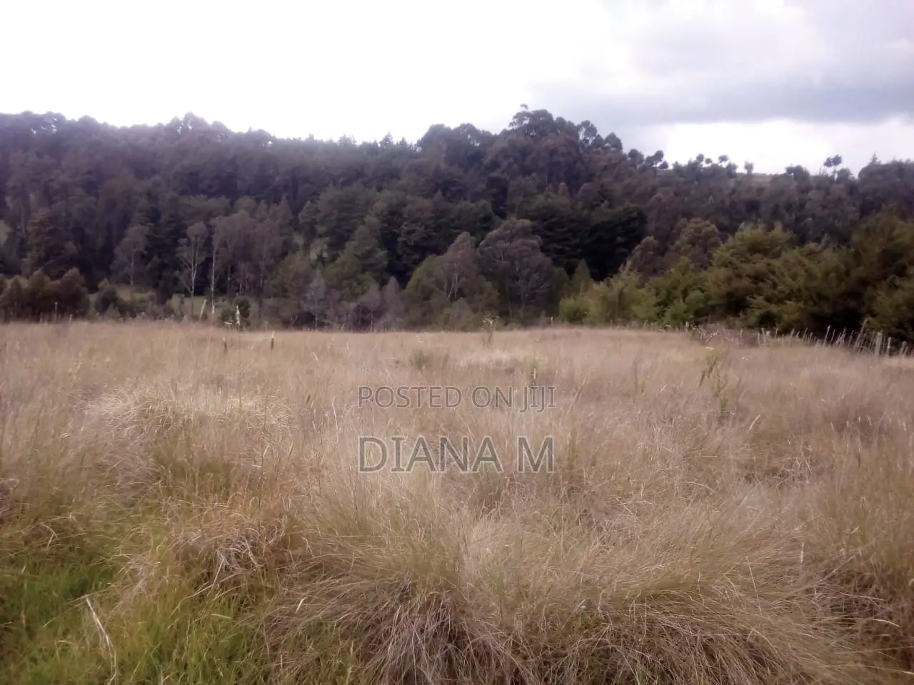 10 Acres on Quick Sale in Oljororok in Central Ndaragwa