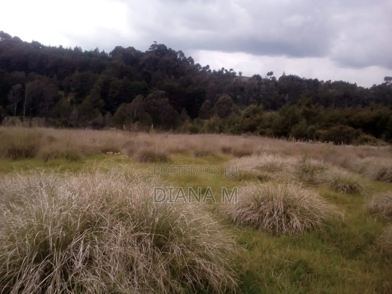 10 Acres on Quick Sale in Oljororok in Central Ndaragwa