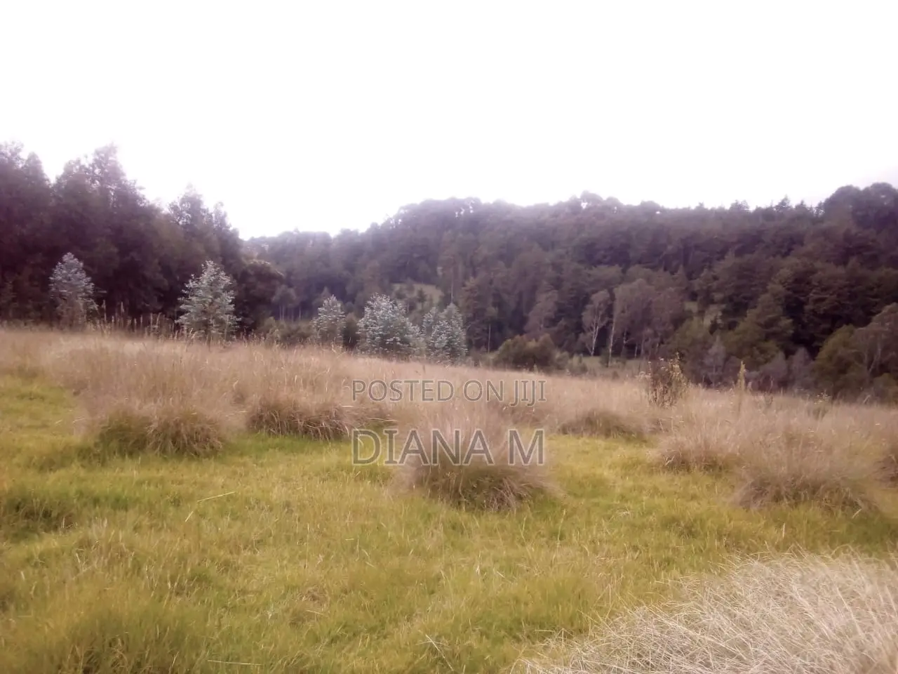 10 Acres on Quick Sale in Oljororok in Central Ndaragwa