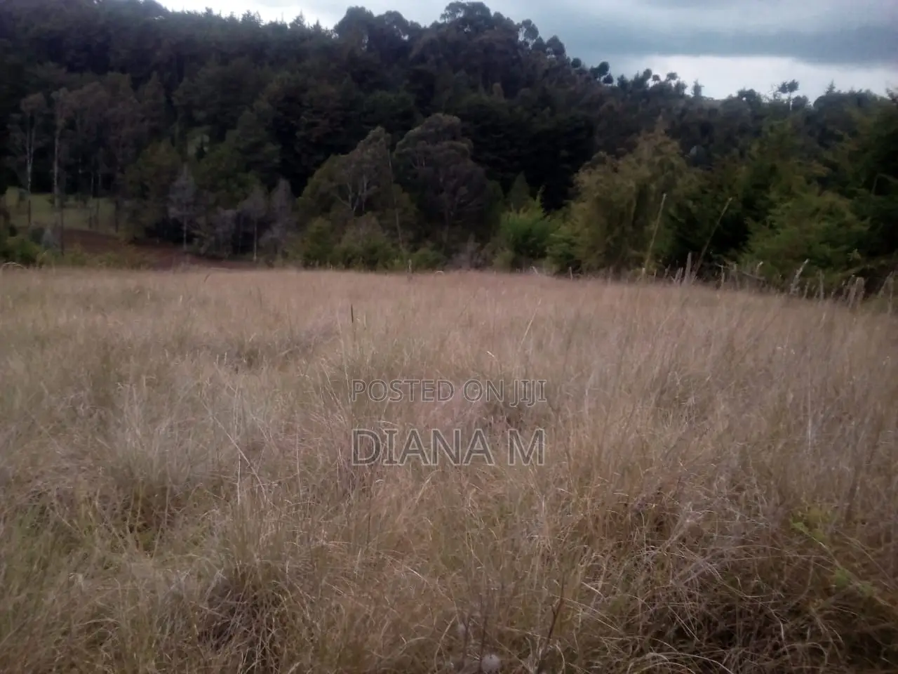 10 Acres on Quick Sale in Oljororok in Central Ndaragwa