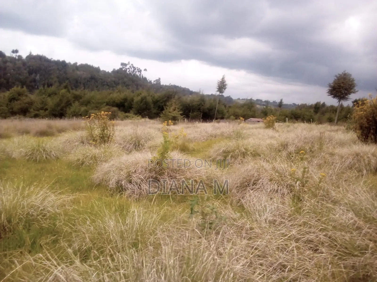 10 Acres on Quick Sale in Oljororok in Central Ndaragwa