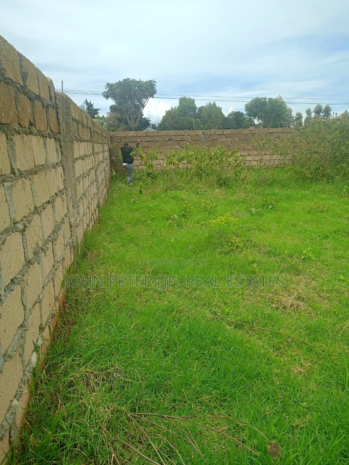 Plots for Sale in Limuru Kwa Mbira in Limuru CBD