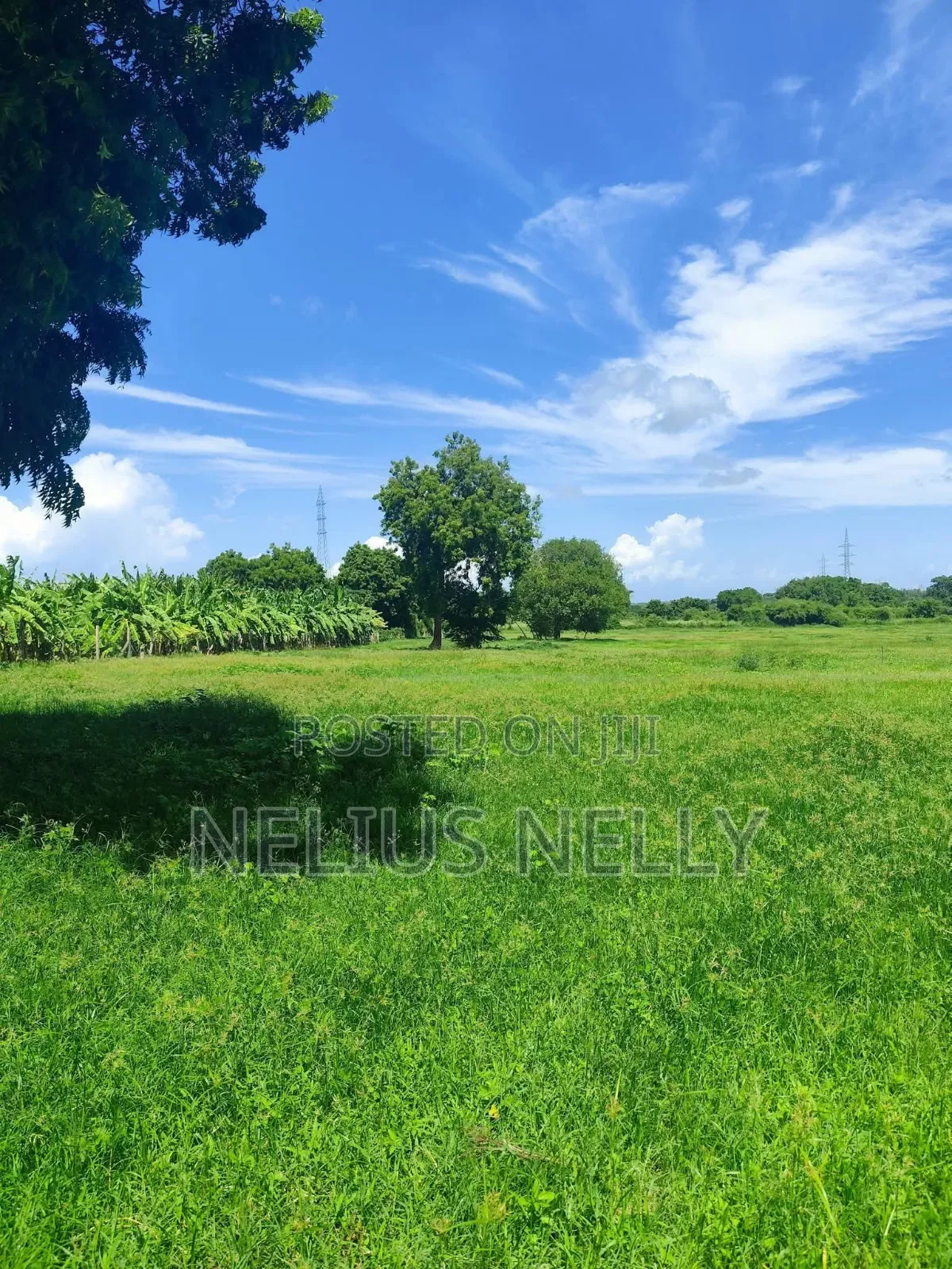 Mnarani Kilifi 1/8 Acre Plots in Kilifi North