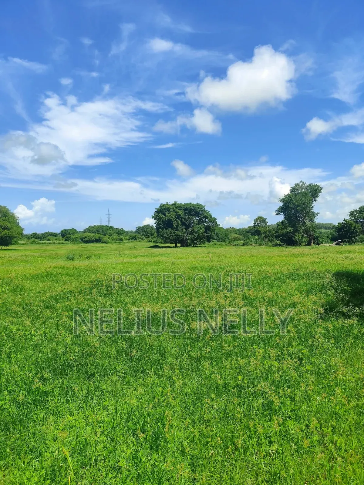 Mnarani Kilifi 1/8 Acre Plots in Kilifi North