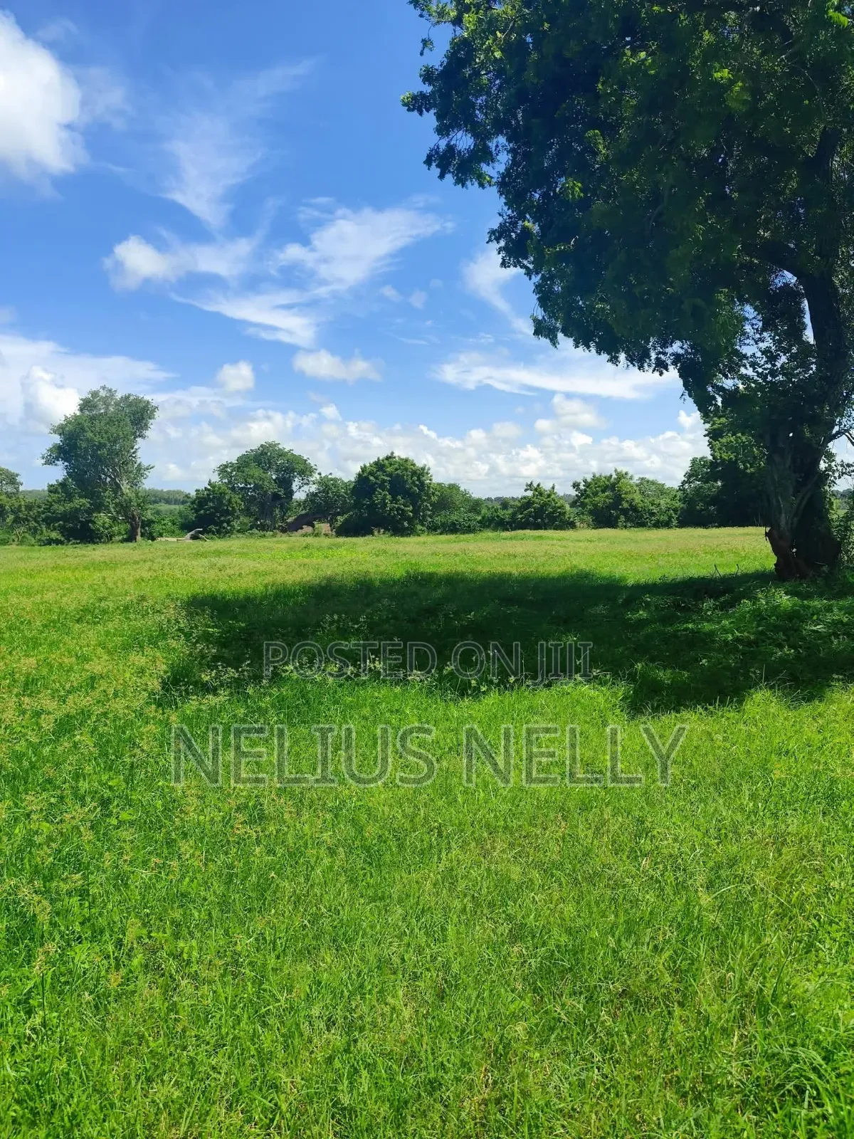 Mnarani Kilifi 1/8 Acre Plots in Kilifi North