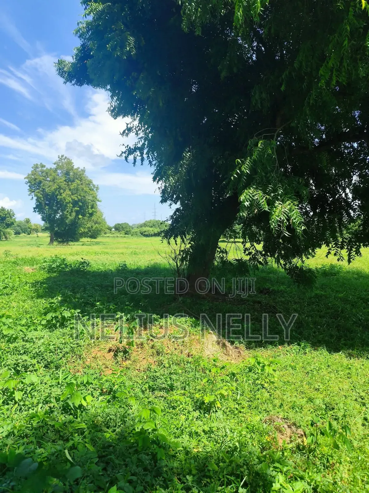 Mnarani Kilifi 1/8 Acre Plots in Kilifi North