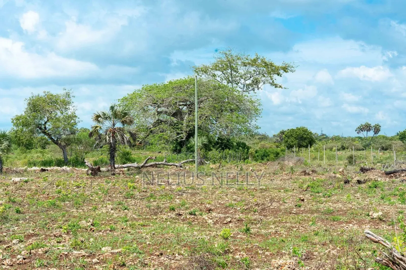Diani, Galu Near Neptune Beach Resort 1/8 Acre Plots in Kilifi North