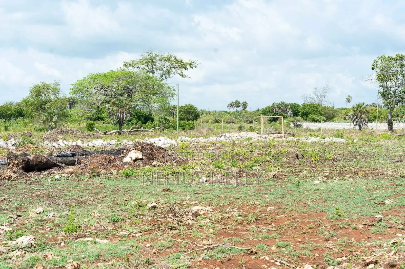 Diani, Galu Near Neptune Beach Resort 1/8 Acre Plots in Kilifi North