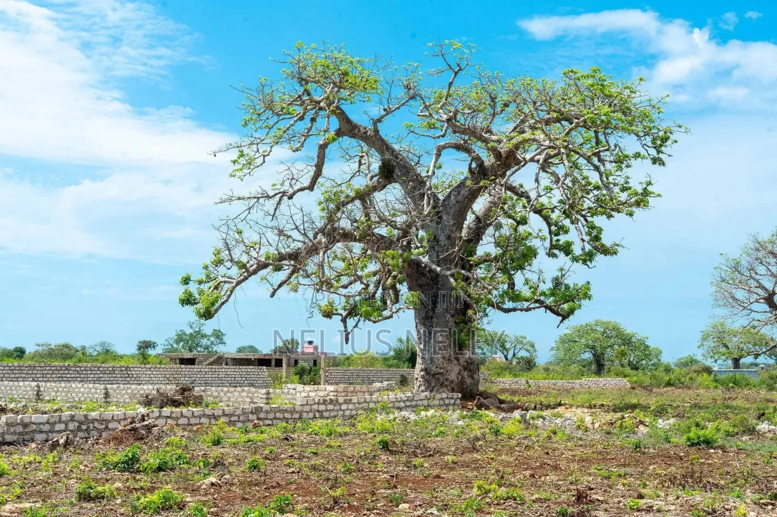 Diani, Galu Near Neptune Beach Resort 1/8 Acre Plots in Kilifi North