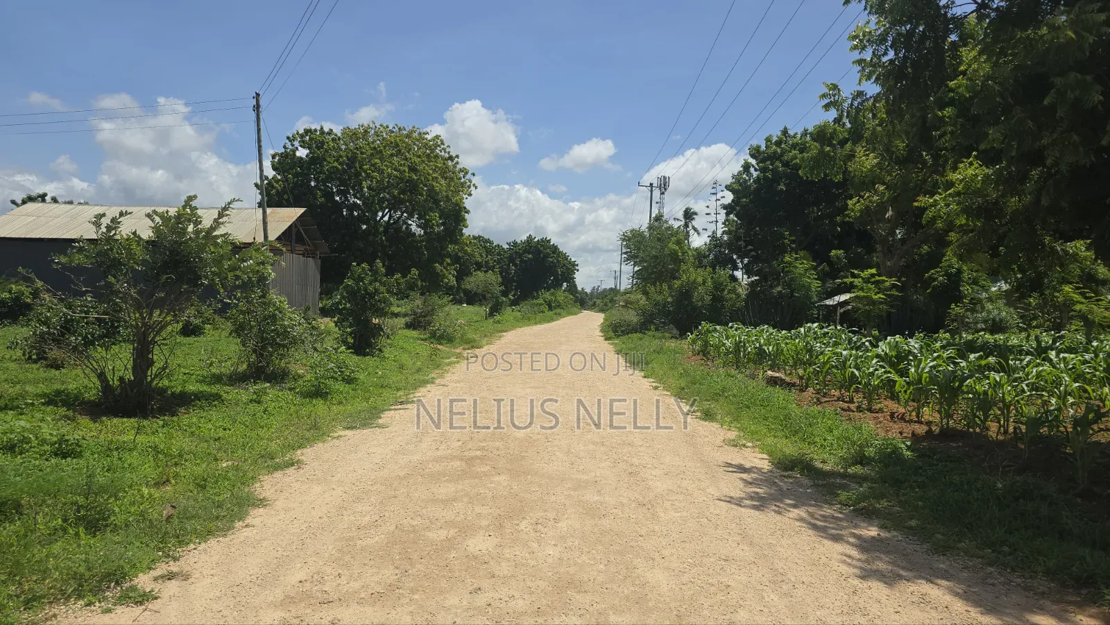 Bofa Near Fedha Estate Kilifi 1/8 Acre Plots in Kilifi North