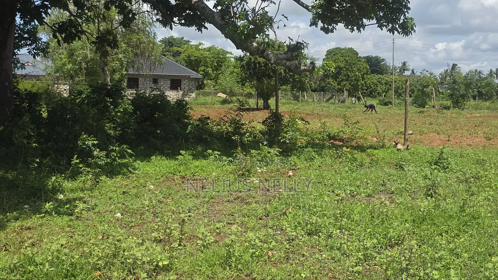 Bofa Near Fedha Estate Kilifi 1/8 Acre Plots in Kilifi North