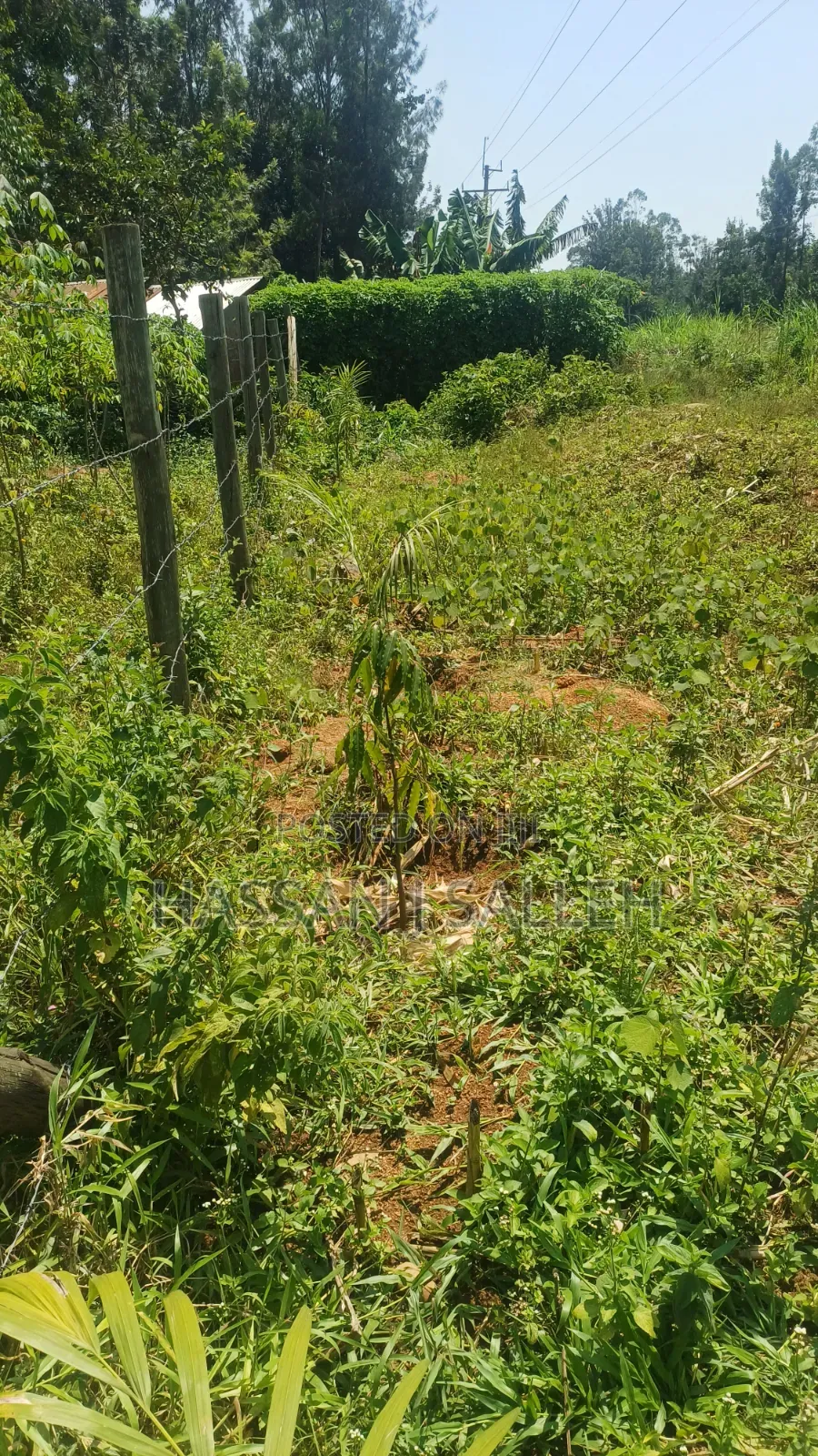 60 X100fts PLOT EKERO. in Mumias Central