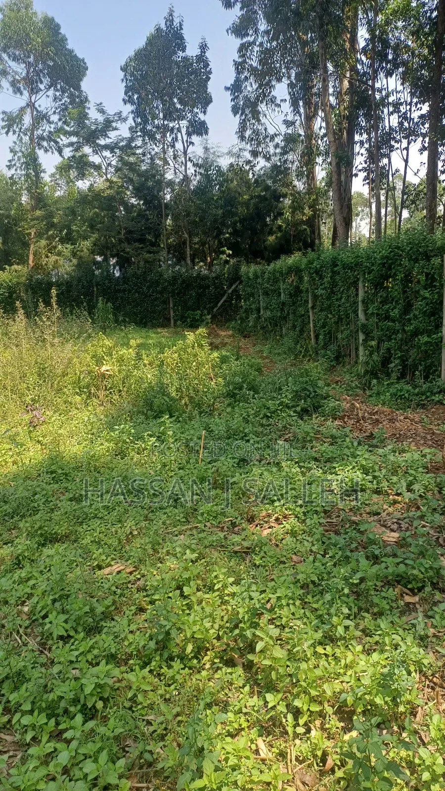 60 X100fts PLOT EKERO. in Mumias Central