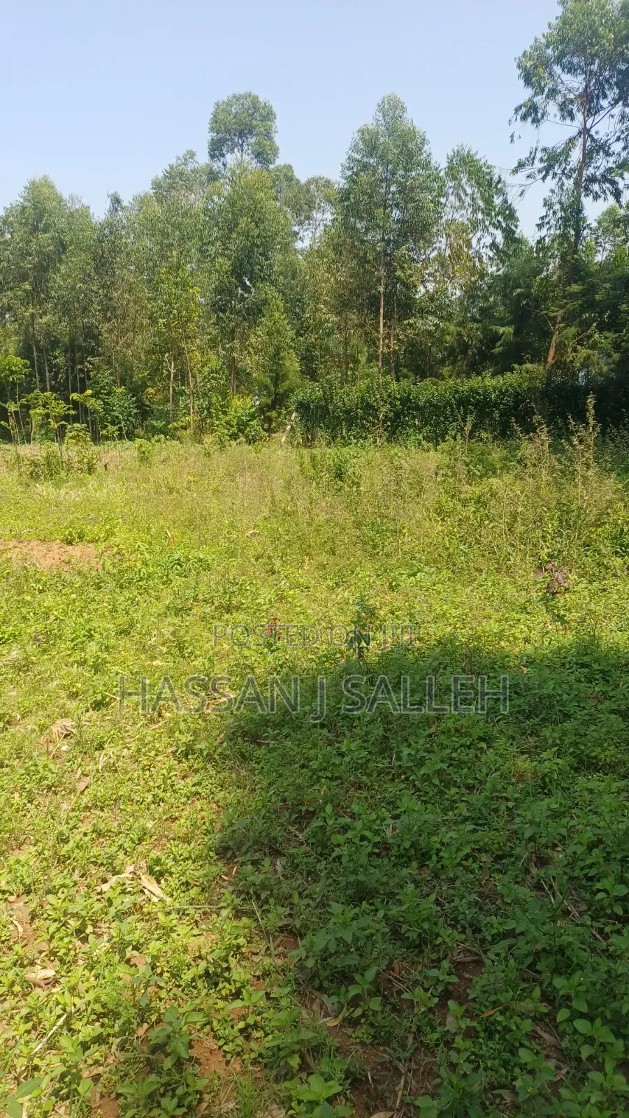 60 X100fts PLOT EKERO. in Mumias Central