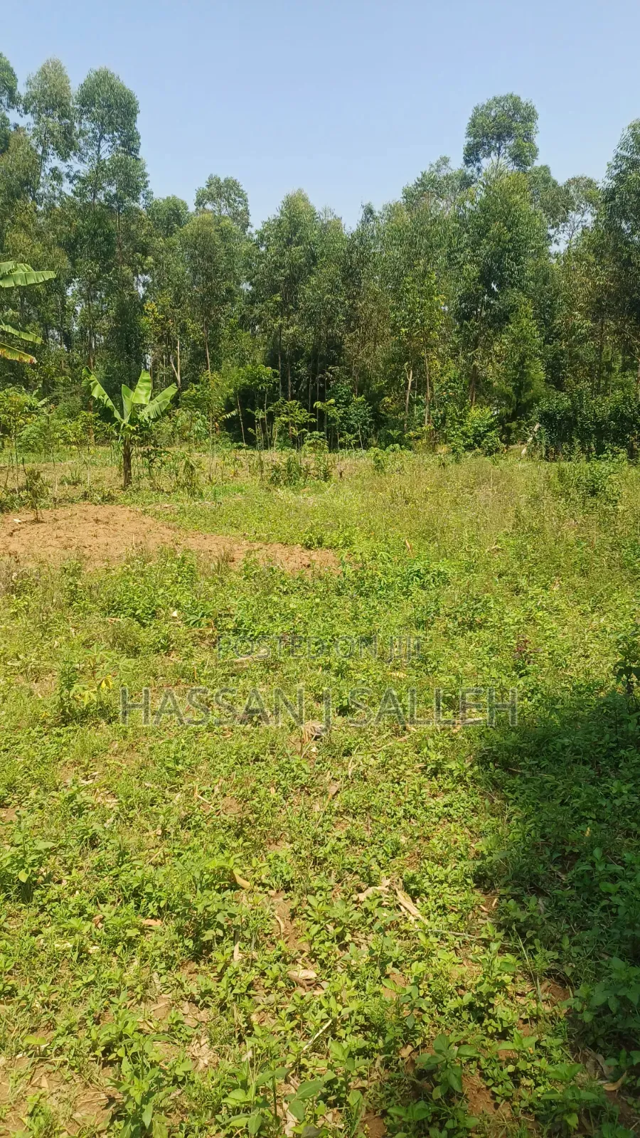 60 X100fts PLOT EKERO. in Mumias Central