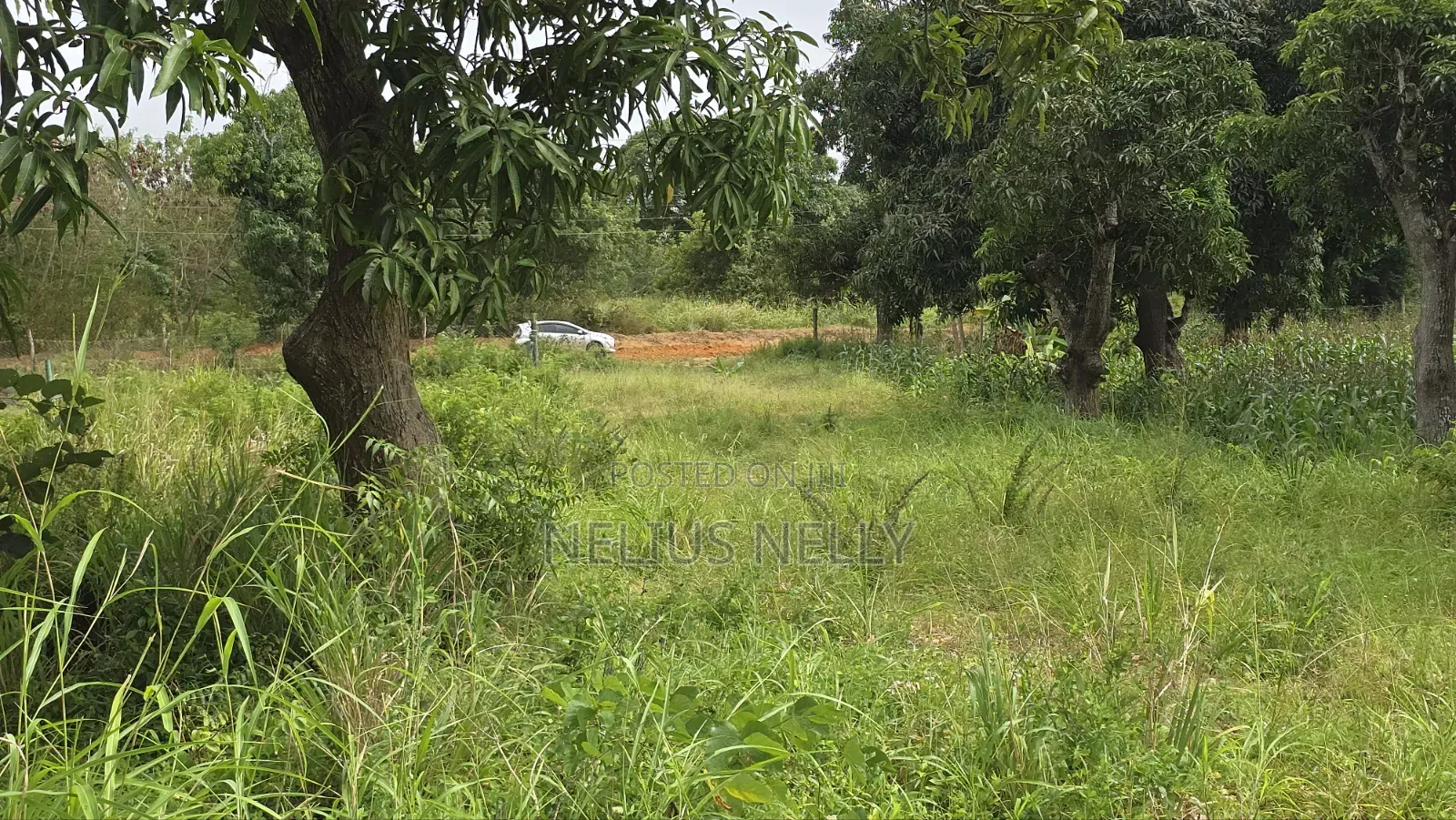 Mtwapa Residential Plots for Sale 1/8 Acre in Kilifi North