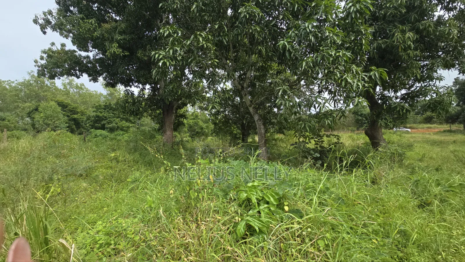 Mtwapa Residential Plots for Sale 1/8 Acre in Kilifi North