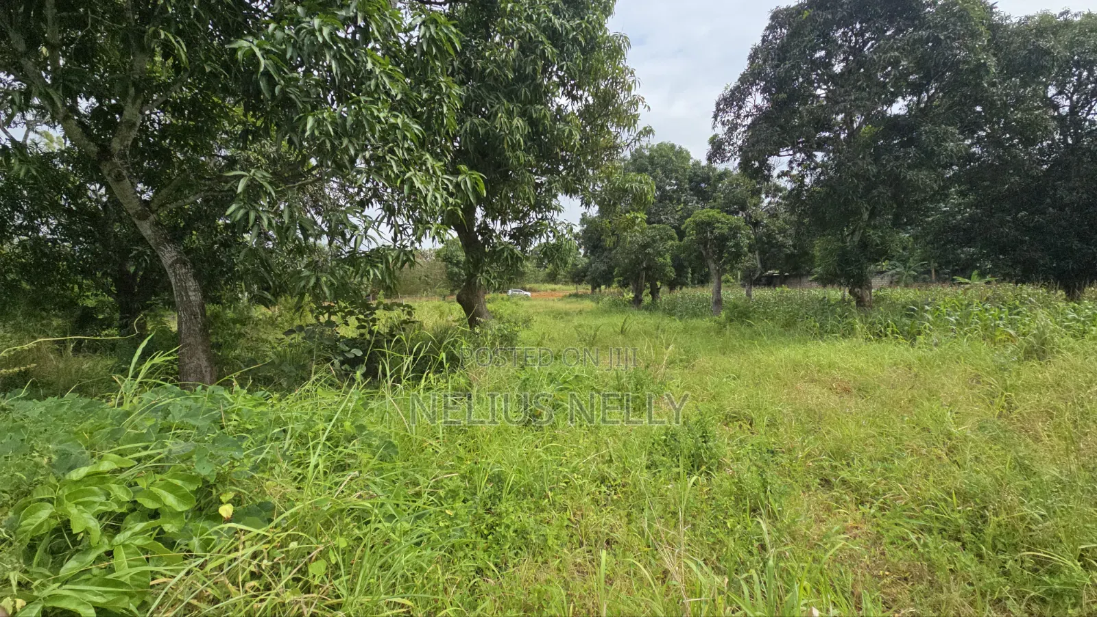 Mtwapa Residential Plots for Sale 1/8 Acre in Kilifi North