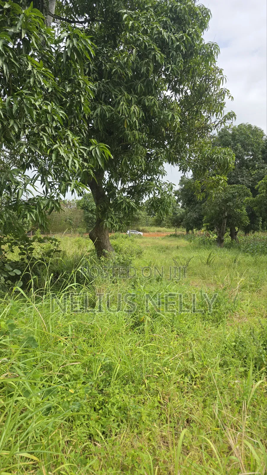 Mtwapa Residential Plots for Sale 1/8 Acre in Kilifi North