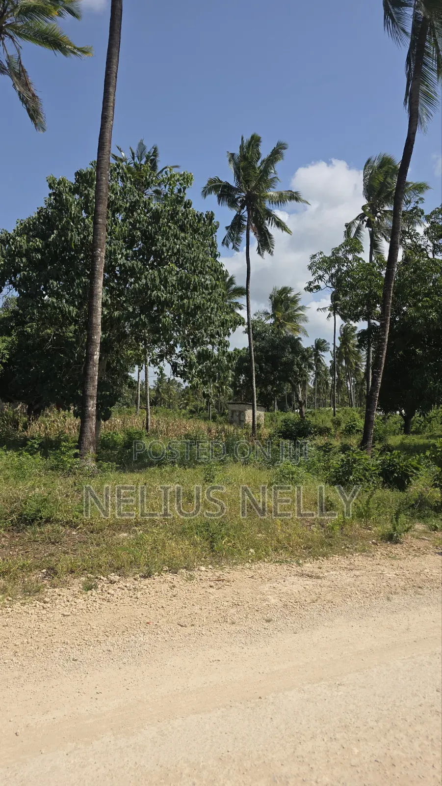 2 Acres Tezo Kakanjuni Road Kilifi in Kilifi North