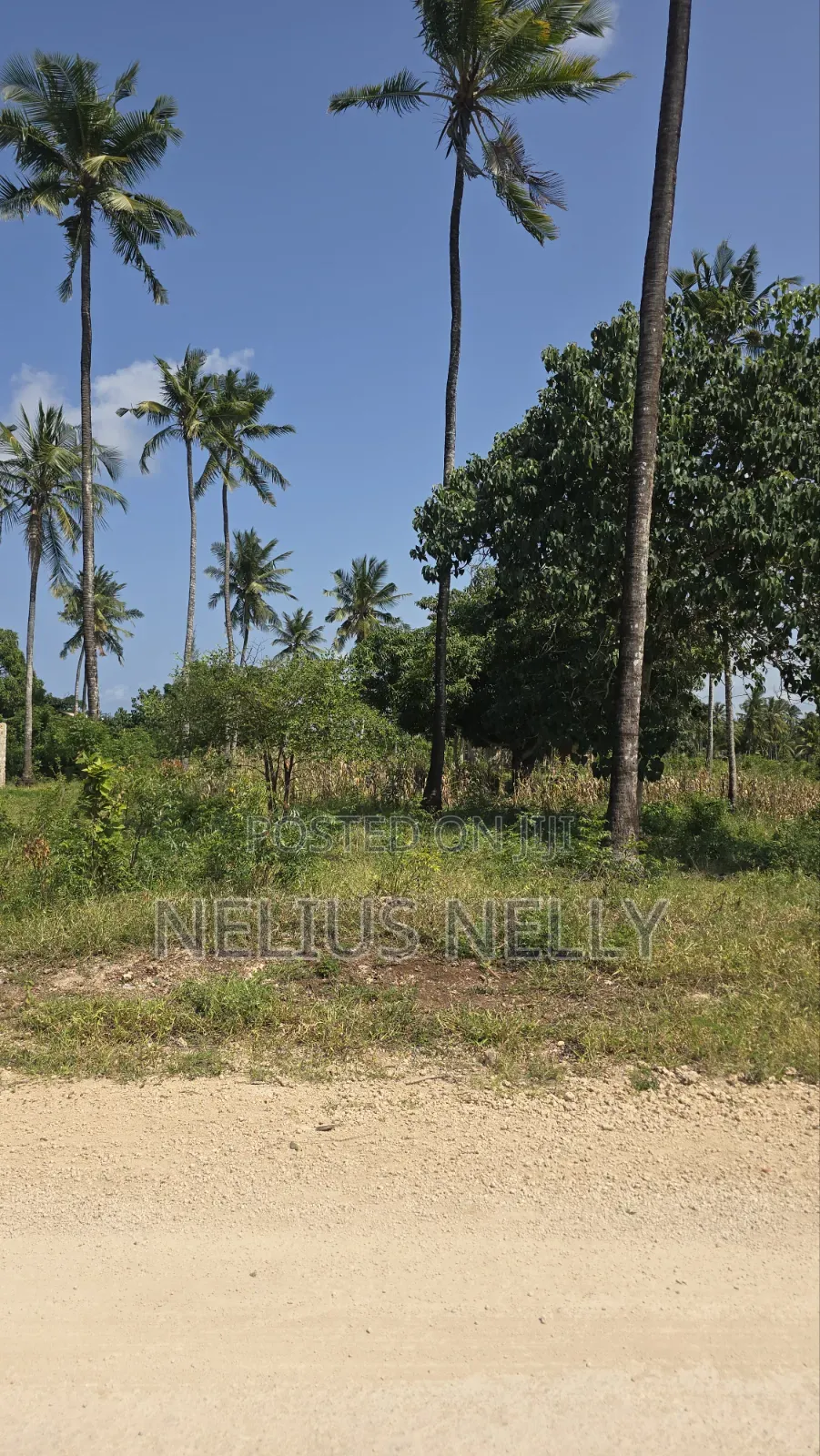 2 Acres Tezo Kakanjuni Road Kilifi in Kilifi North