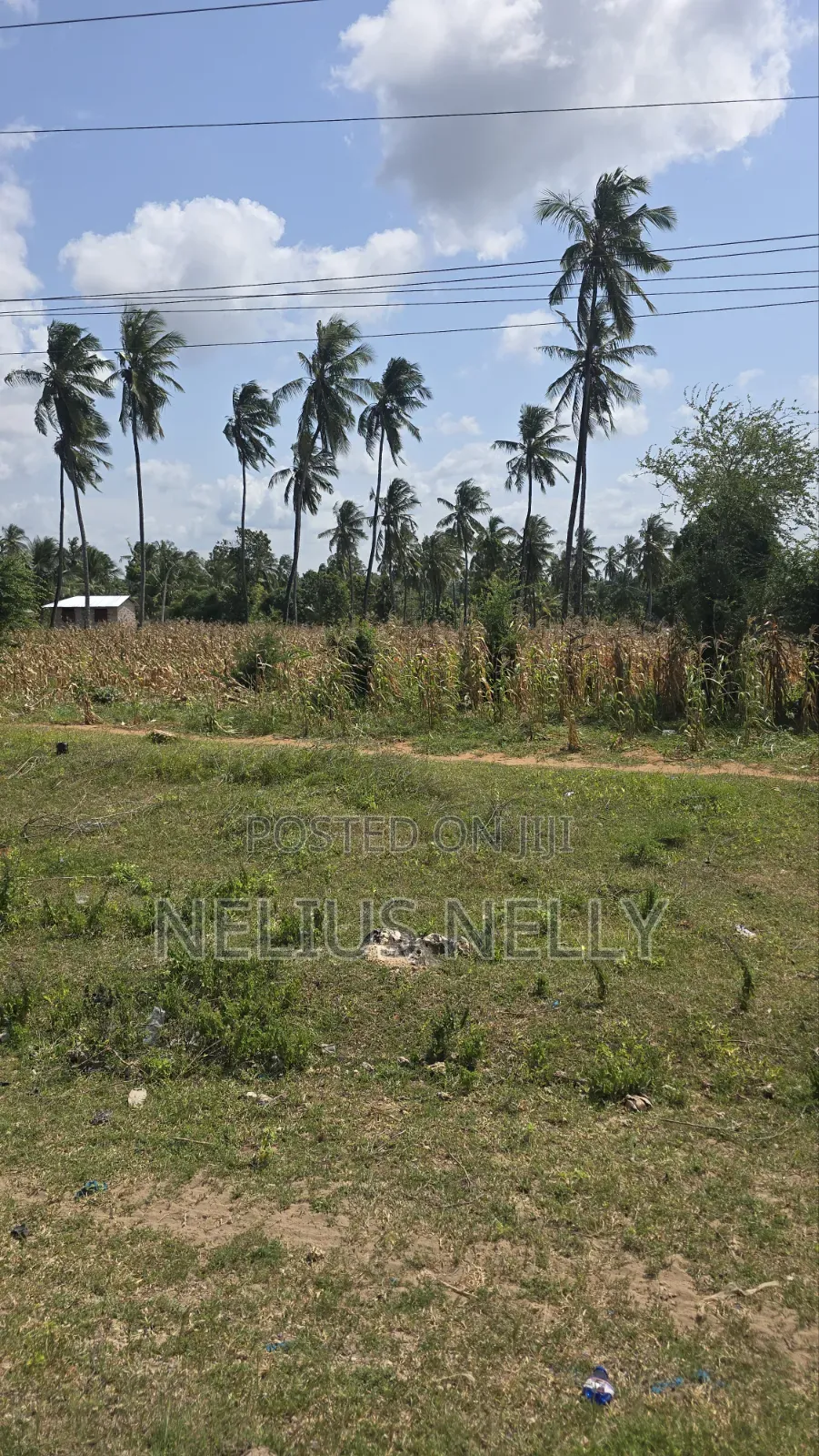 3acres Touching Highway Kilifi Tezo in Kilifi North