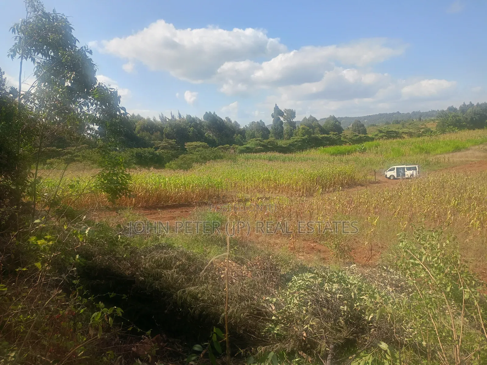 Plots in Thigio, Kikuyu in Nachu