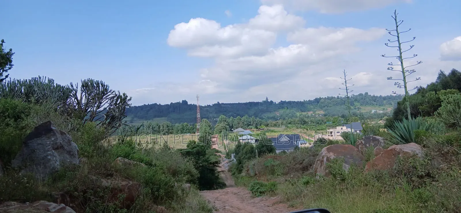 Plots in Thigio, Kikuyu in Nachu