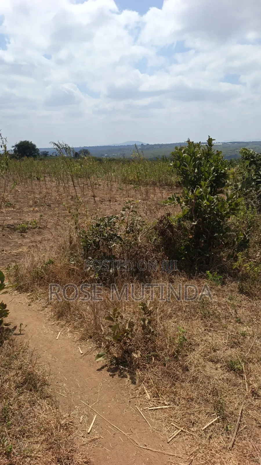 38 Acres at Kayatta /Ndunyu Sabouk in Kithimani