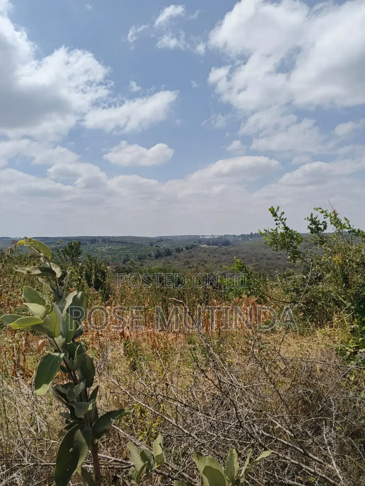 38 Acres at Kayatta /Ndunyu Sabouk in Kithimani