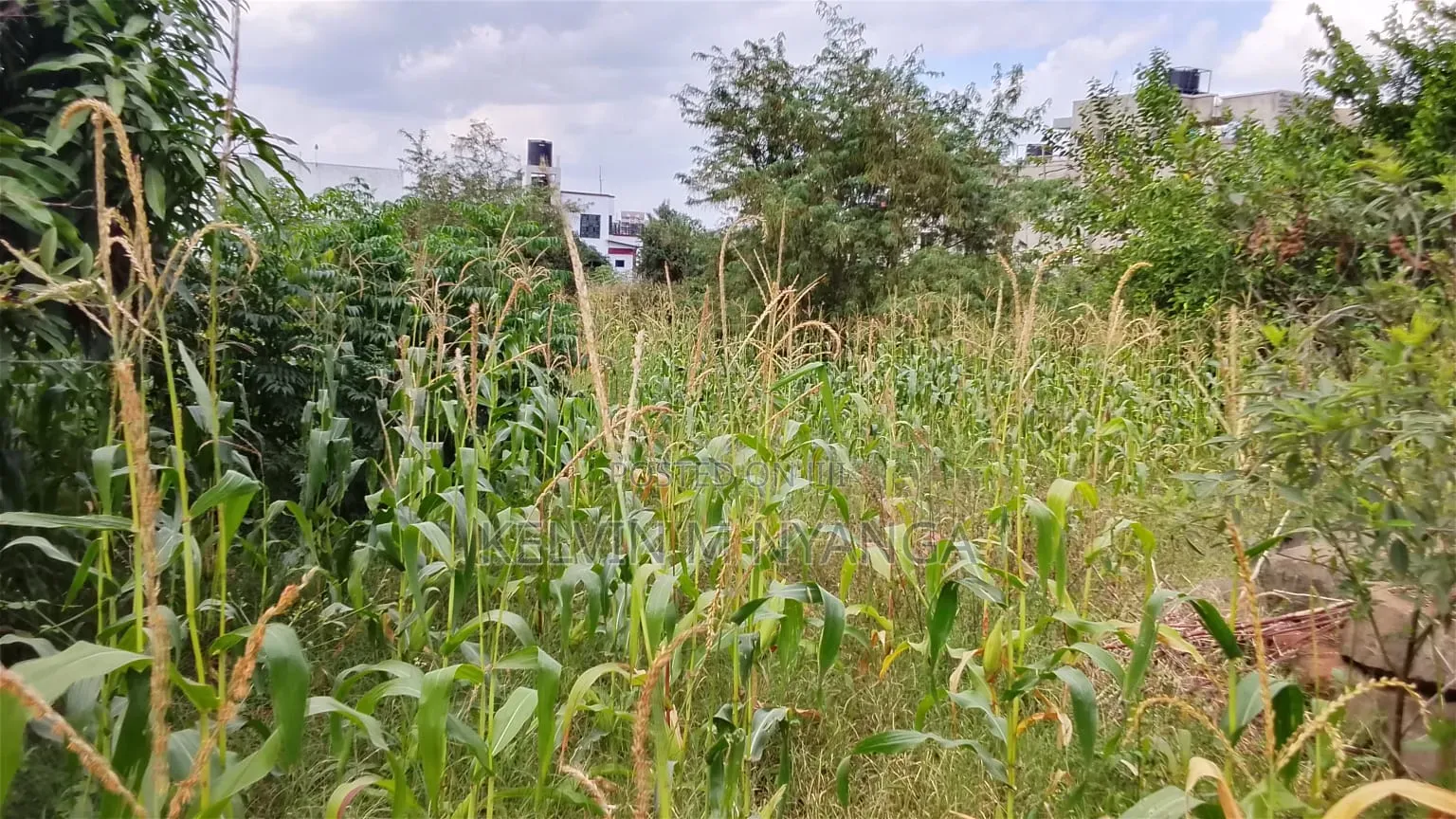 1acre Land Kasarani Behind St Francis Distress Sale in Nairobi Central