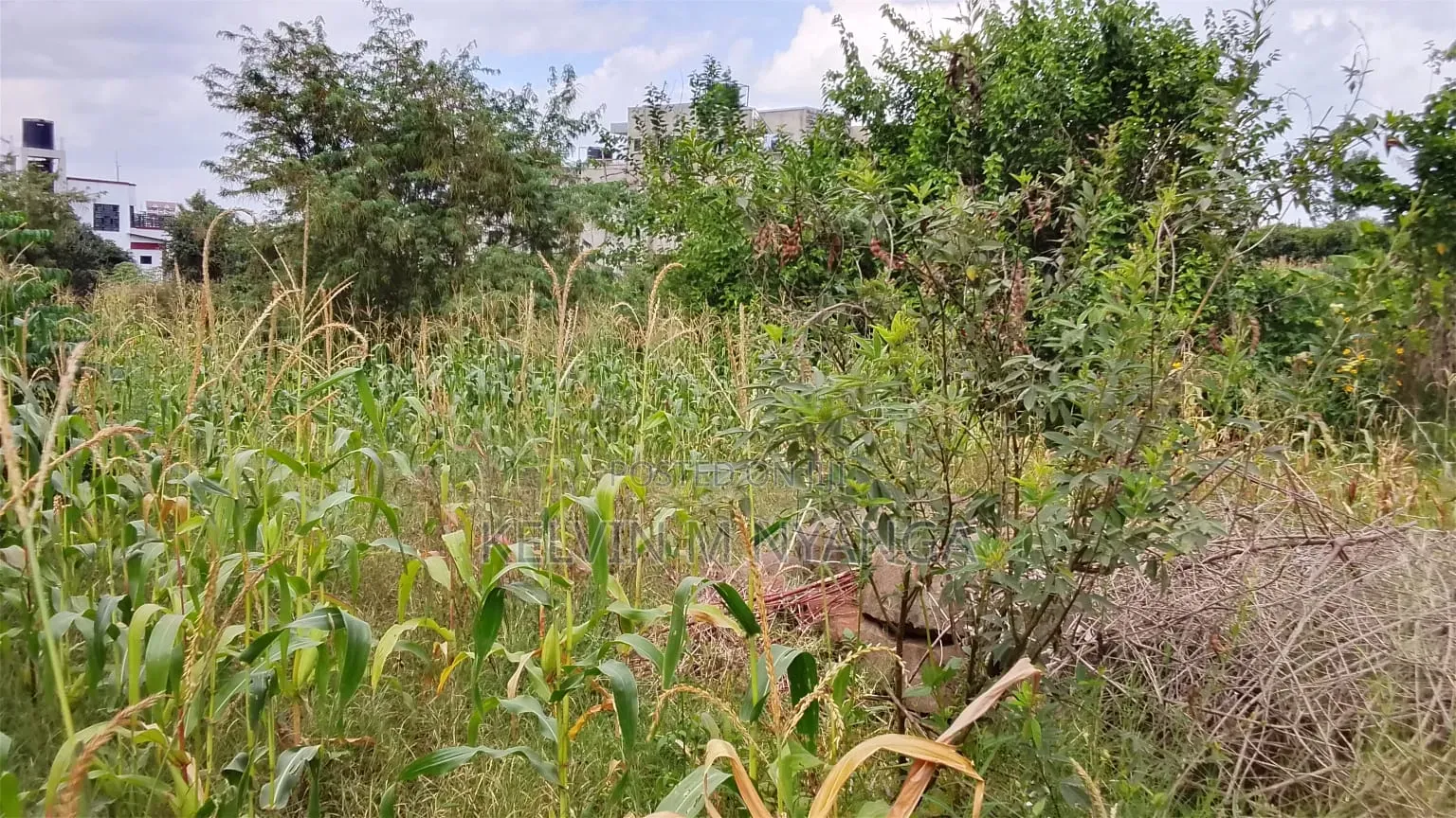 1acre Land Kasarani Behind St Francis Distress Sale in Nairobi Central