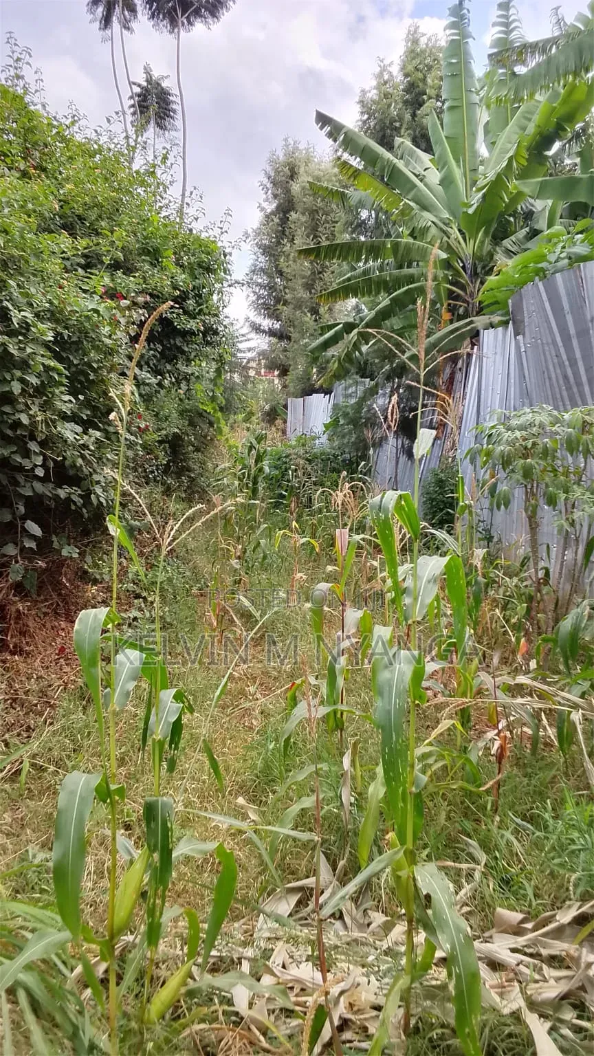 1acre Land Kasarani Behind St Francis Distress Sale in Nairobi Central