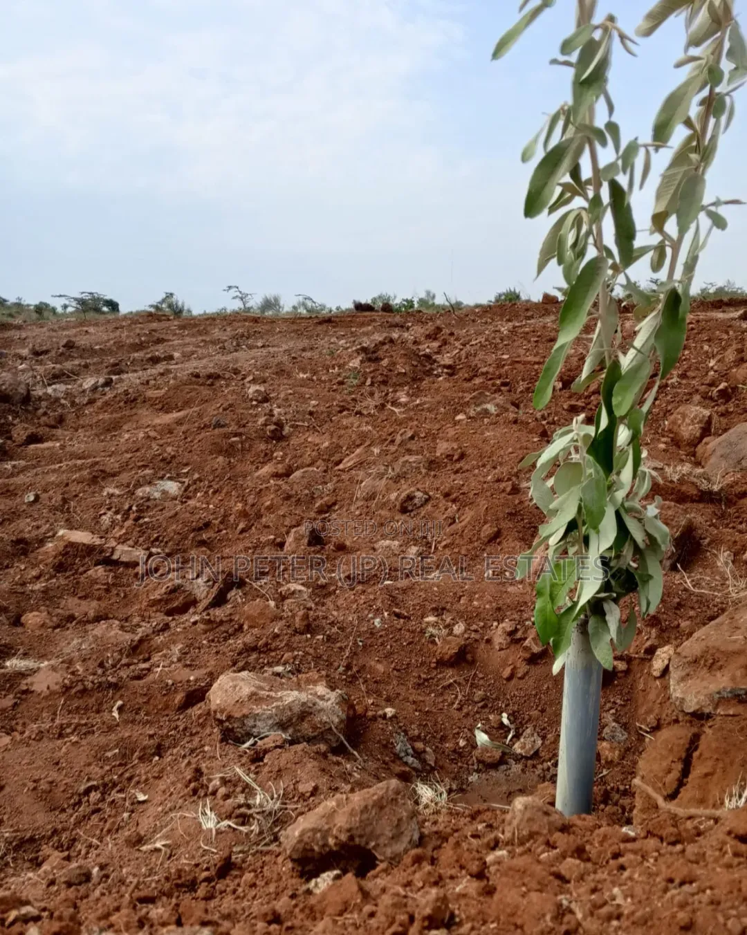 Plots in Kamangu, Kiriri Primary in Karai