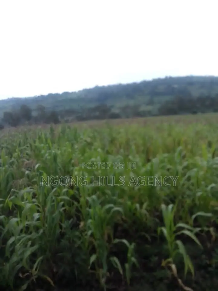 Prime 7-Acre Agricultural Land for Sale | Kamuyu Village, Burnt Forest in Chuiyat