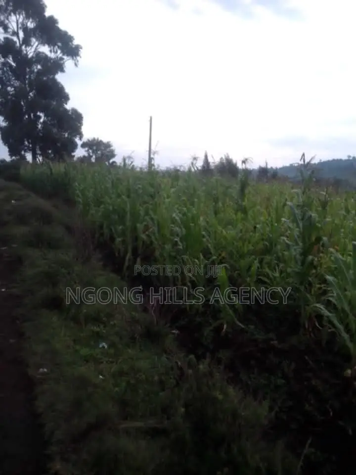 Prime 7-Acre Agricultural Land for Sale | Kamuyu Village, Burnt Forest in Chuiyat