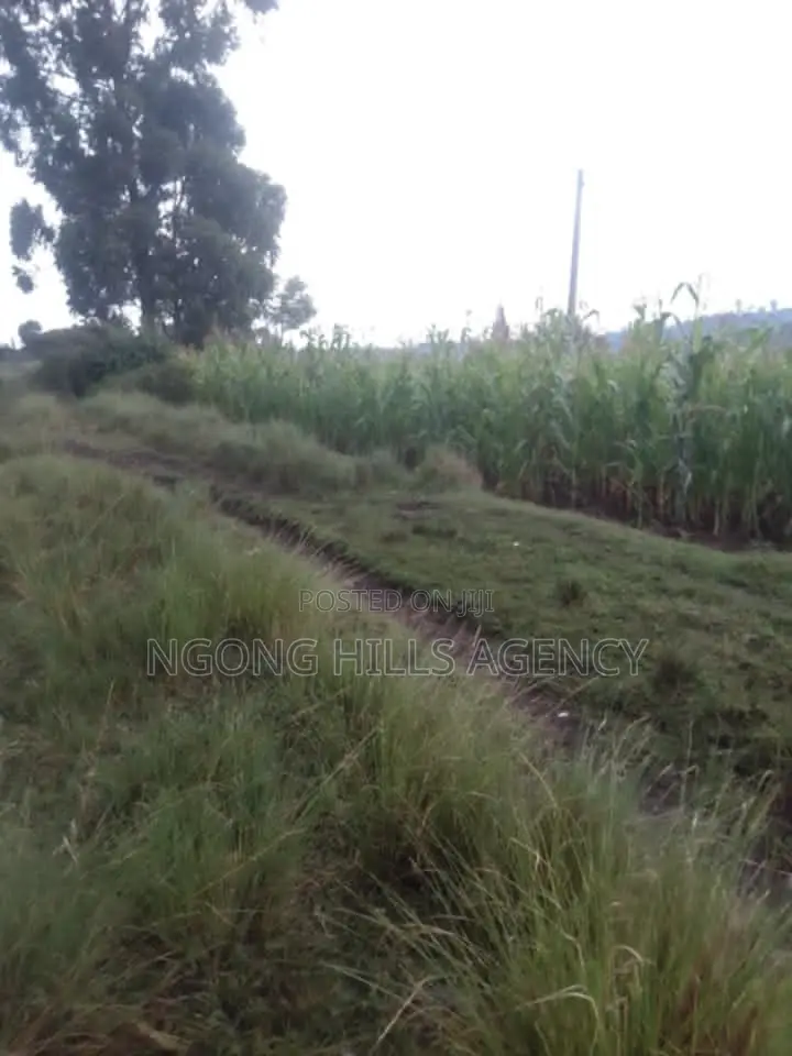 Prime 7-Acre Agricultural Land for Sale | Kamuyu Village, Burnt Forest in Chuiyat