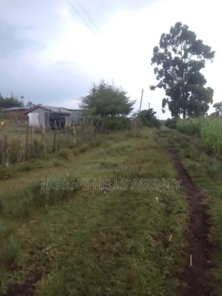 Prime 7-Acre Agricultural Land for Sale | Kamuyu Village, Burnt Forest in Chuiyat