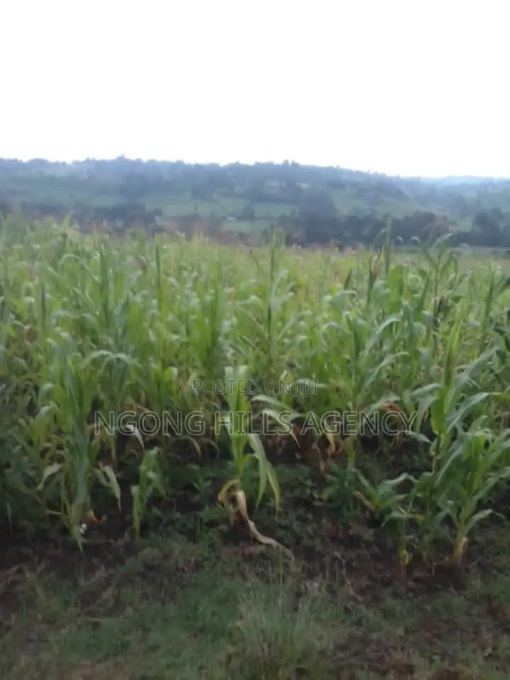 Prime 7-Acre Agricultural Land for Sale | Kamuyu Village, Burnt Forest in Chuiyat