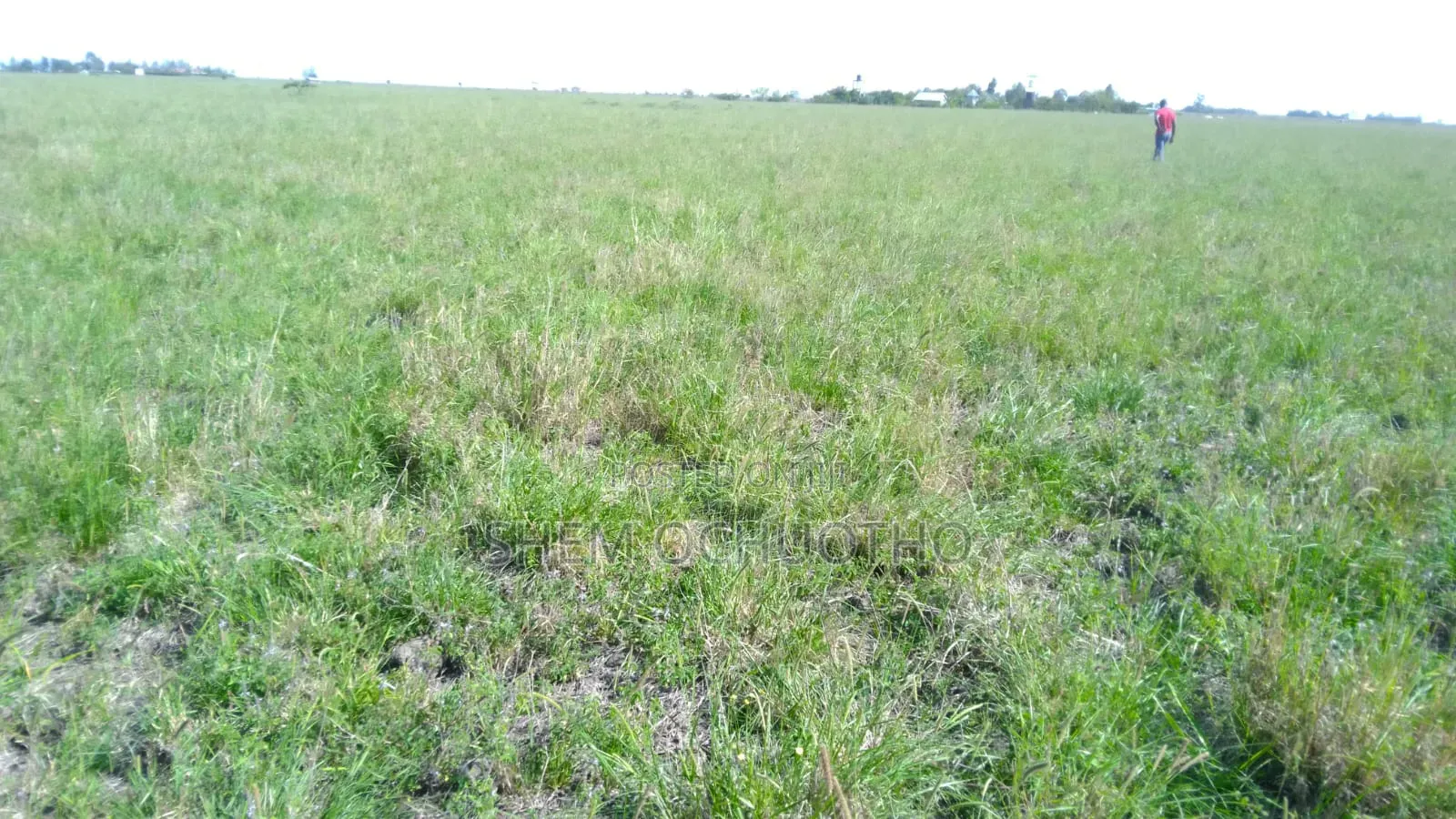 1/8 Acre Plots on Sale in Birika Town in Isinya
