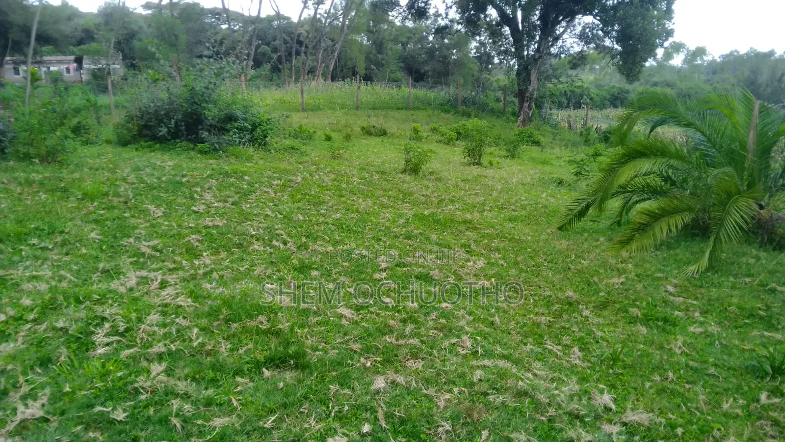 Half Acre Plots on Sale in Karen-Kephis in Karen C