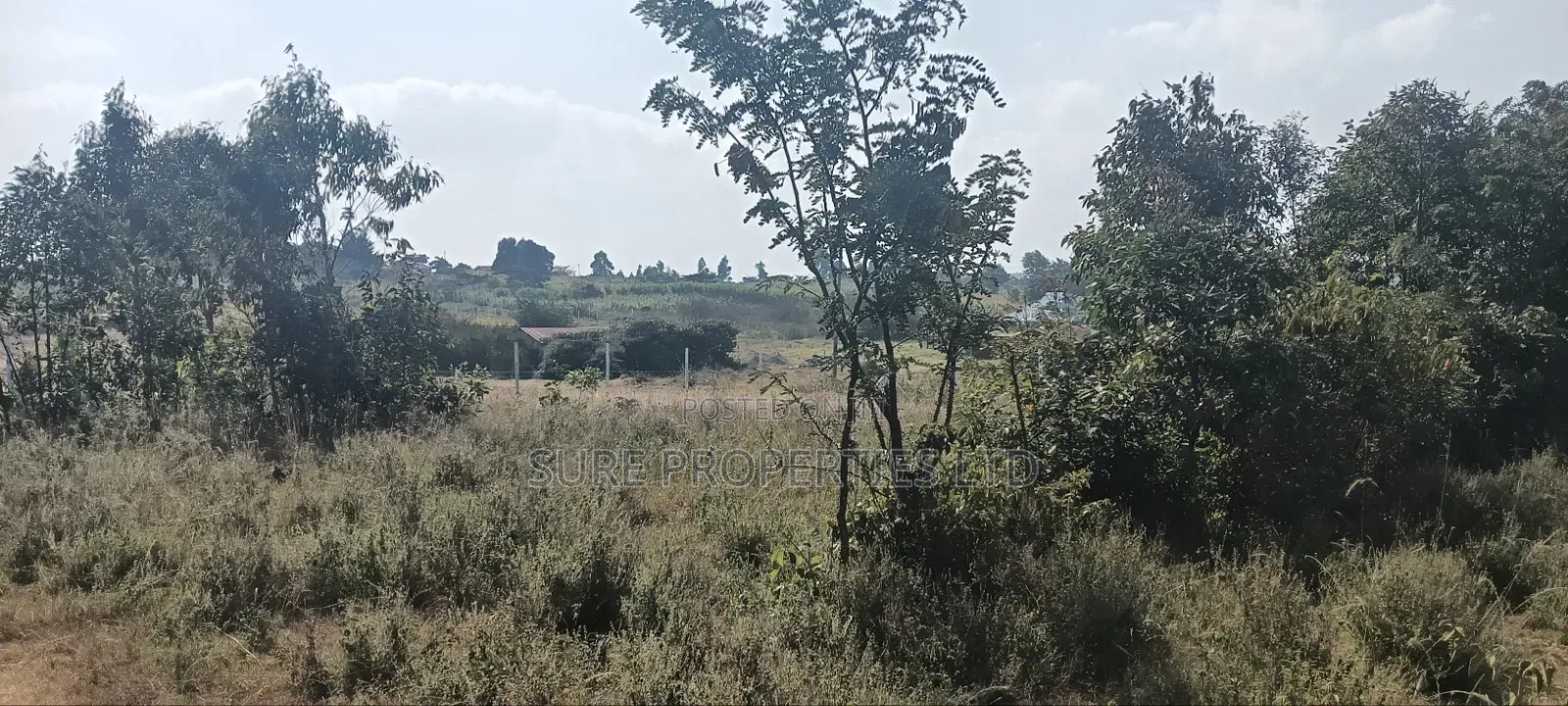 Kikuyu Kamangu 50x100 Prime Residential Plot in Kikuyu