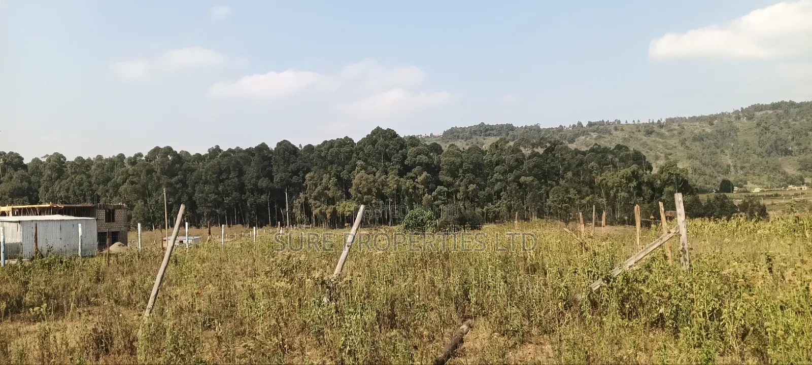 Kikuyu Kamangu 50x100 Prime Residential Plot in Kikuyu