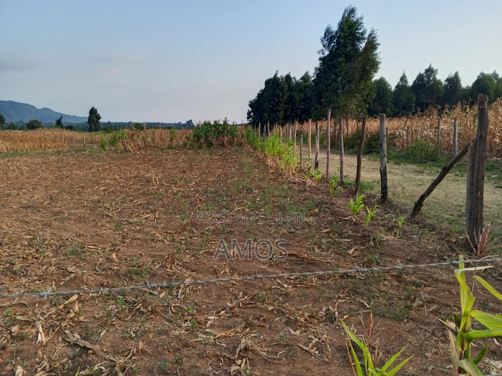 Very Prime 1⁄4ac Plots in Ndeiya Githarane Ideal for Residential Homes in Ndeiya