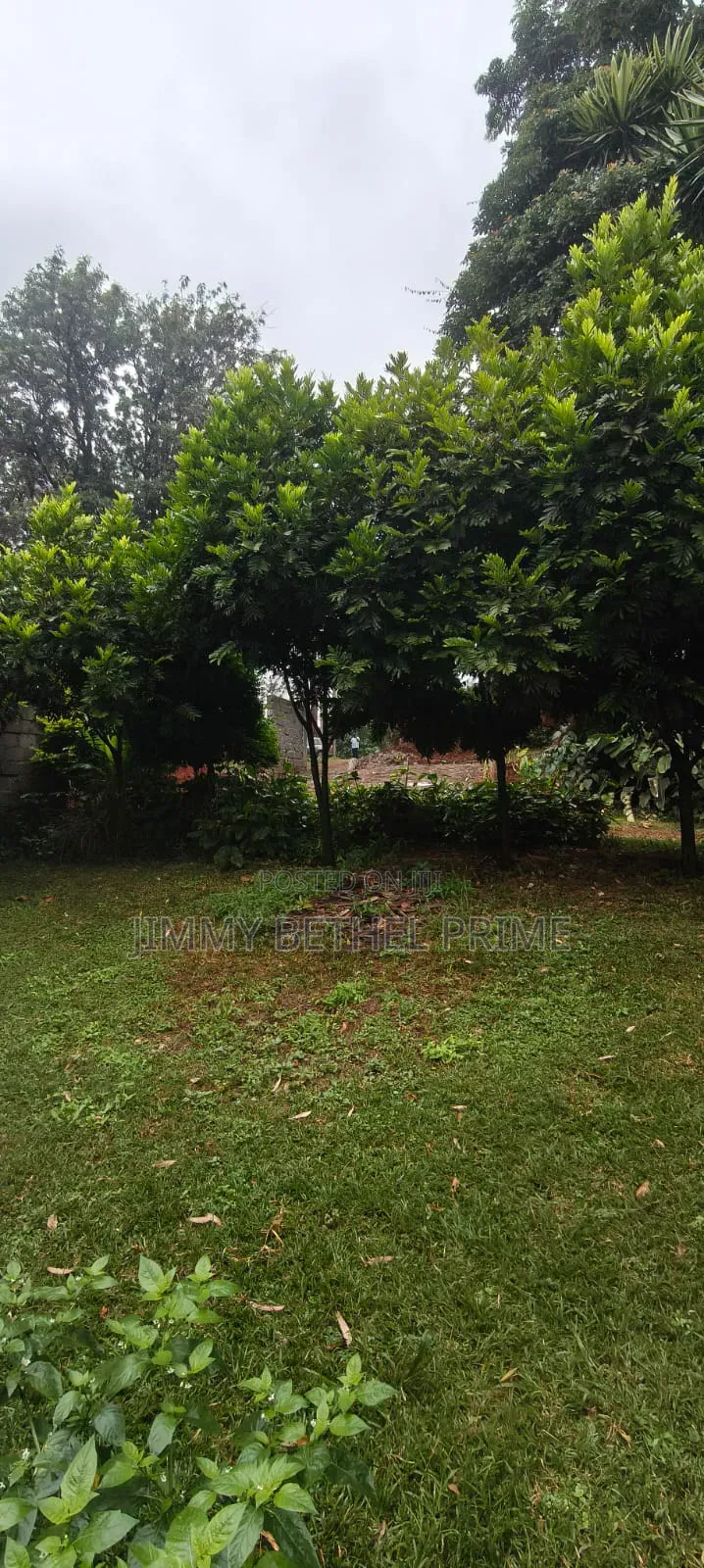 4bdrm Bungalow in Kitisuru for sale in Kitisuru